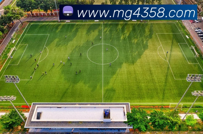 App Interface Preview