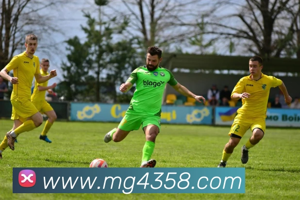 MG娱乐平台官网APP 封面图